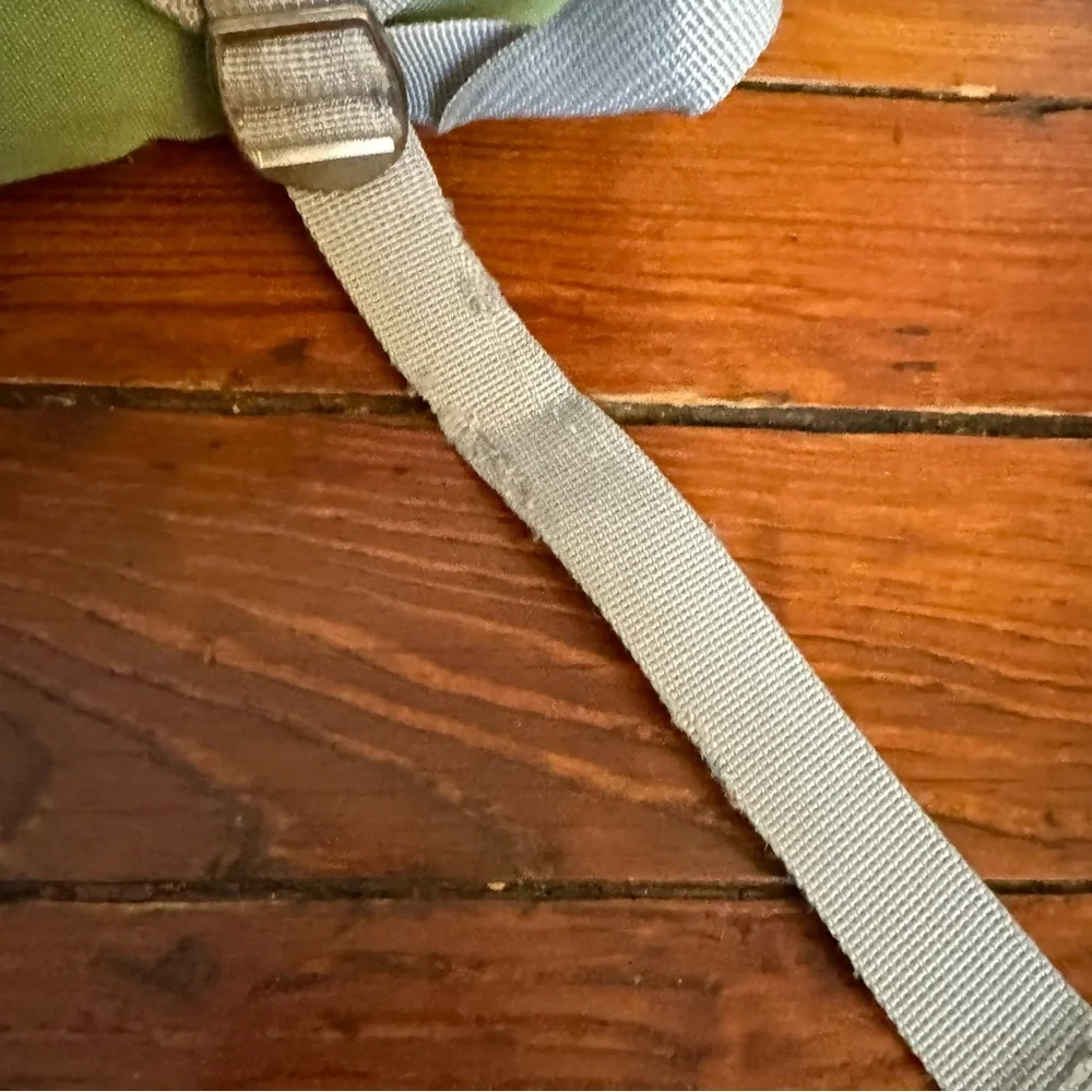 Pottery Barn Backpack Green & Purple Striped Butterfly Caraline